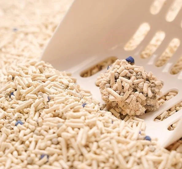 TOFU CAT LITTER